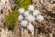 Sharing Stones with Cremation Ash